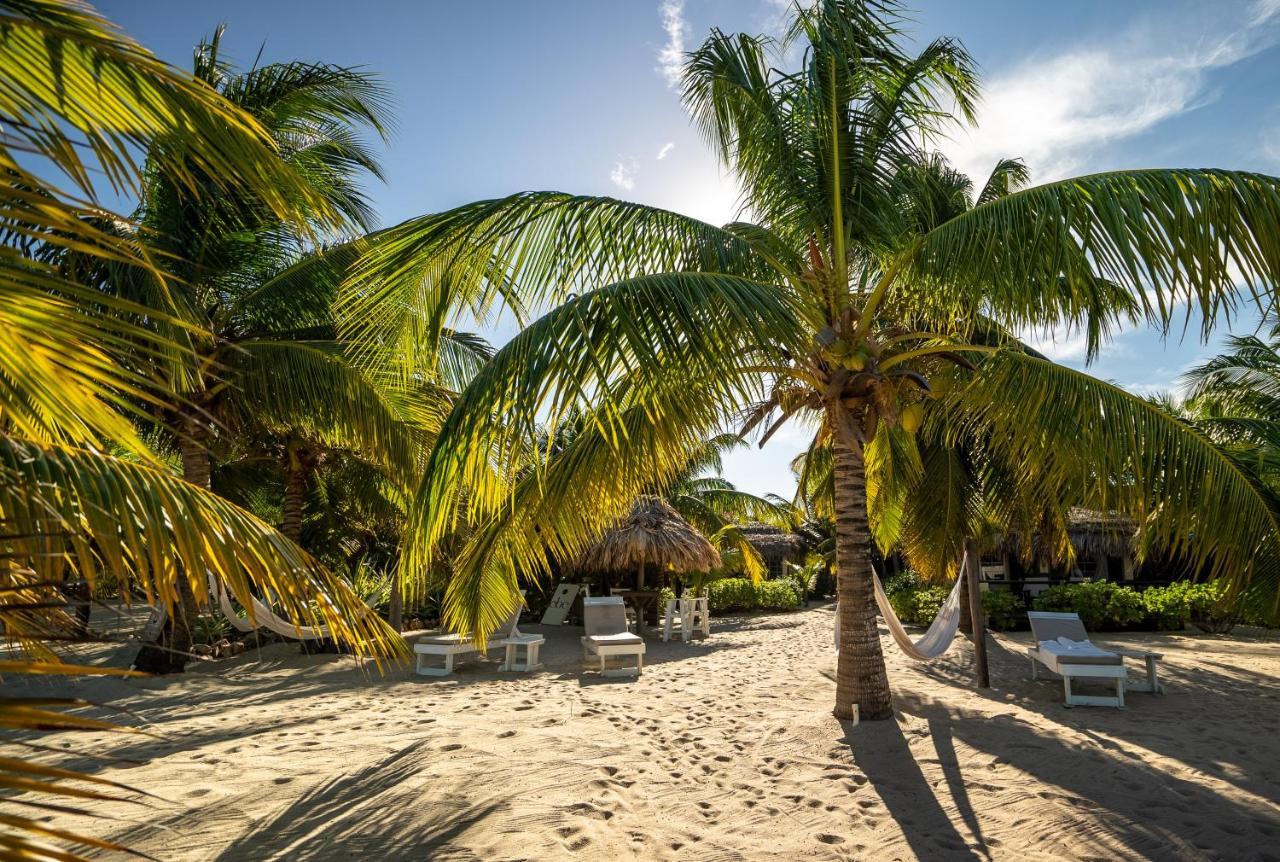 Caribbean Beach Cabanas Placencia エクステリア 写真