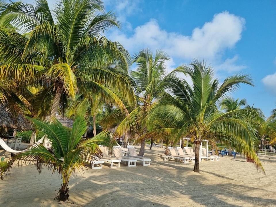 Caribbean Beach Cabanas Placencia エクステリア 写真