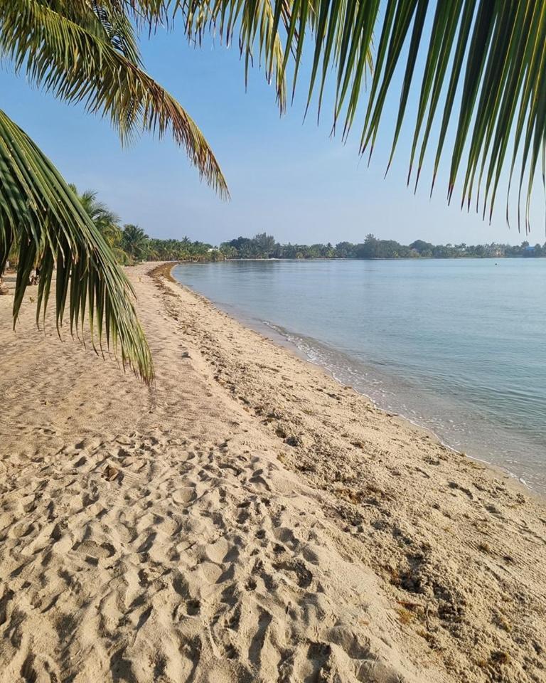 Caribbean Beach Cabanas Placencia エクステリア 写真