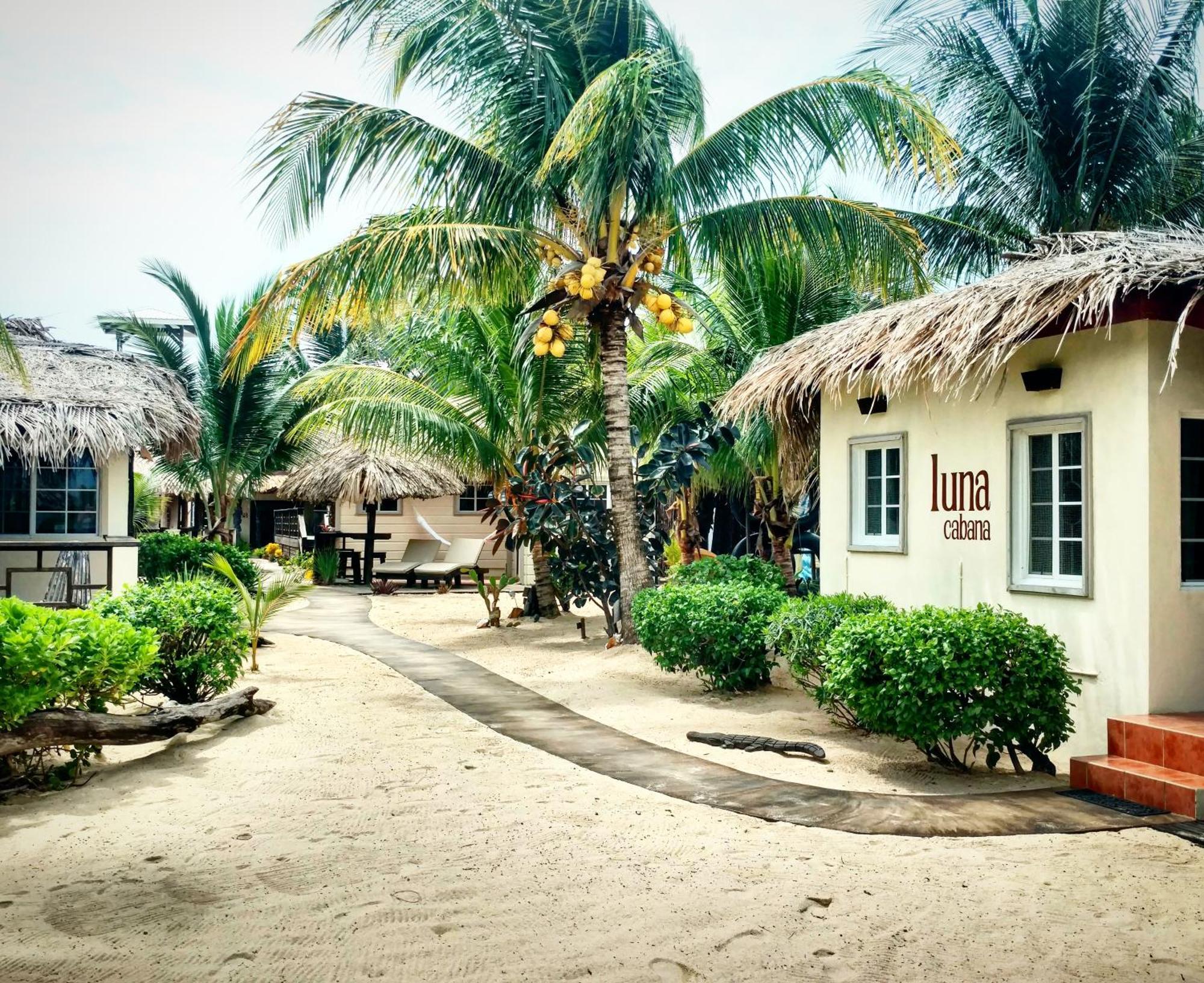 Caribbean Beach Cabanas Placencia エクステリア 写真