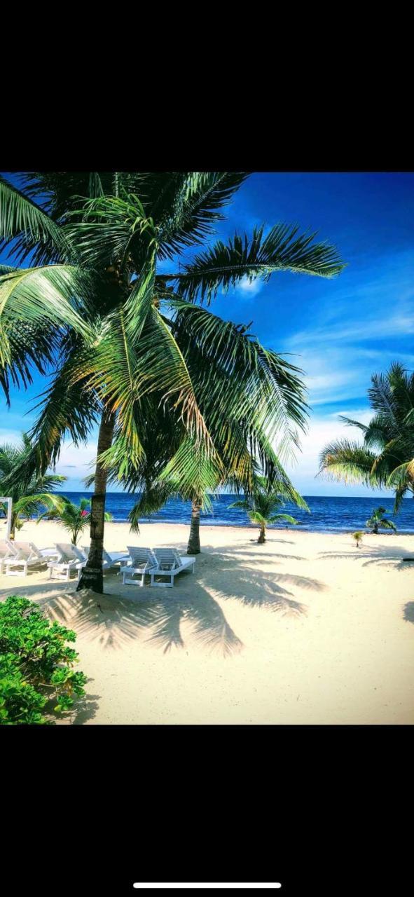 Caribbean Beach Cabanas Placencia エクステリア 写真